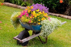 beautiful-container-garden-ideas