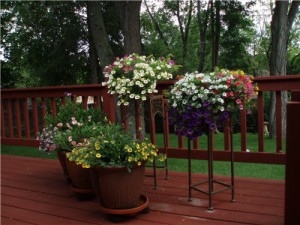 deck-flowers