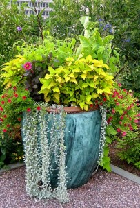 large-container-garden-lg