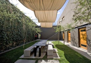 Backyard-courtyard-designs-ideas-greenhouse-with-planting-plants-and-grass-for-planning-modern-outdoor-living-space-decoration