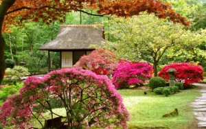 Beautiful-Red-and-Pink-Flowers-in-Japanese-Garden-Designs-Ideas