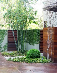 Modernize-Your-Garden-With-Bamboo2