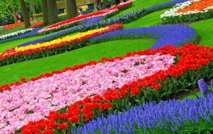 flower-gardens