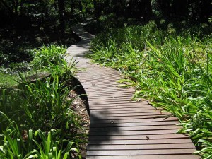 landscaping-with-decking-pathways