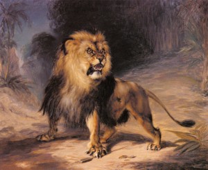 Copy of A-Lion