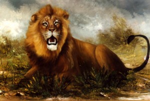 Copy of Lion