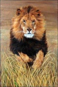 Copy of lionking