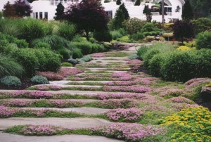 beautiful-flower-garden-path-fouo6o9p