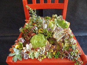 garden-decoration-chairs-succulents
