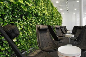 green_office_wall_v