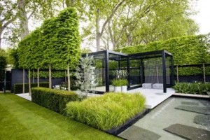 This is the modern formal where plants are only one of the elements that makes this garden a success.The formal trees wrap the design and draws the attention into the landscape.