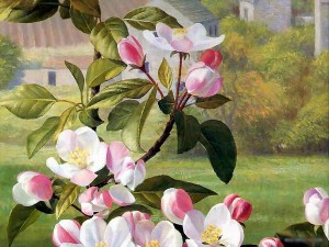146684-flower-oil-painting-the-special-gift-for-your-lover-on-festival