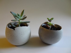 Small-Concrete-Bowl-Planter.-Painted.-Succulent-Planter.-Jewelry-Storage.-Indoor-Planter-Urban-Industrial.-Rustic-Cottage.-Cement.